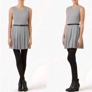 ARITZIA TALULA Waldorf Sleeveless Skater Dress